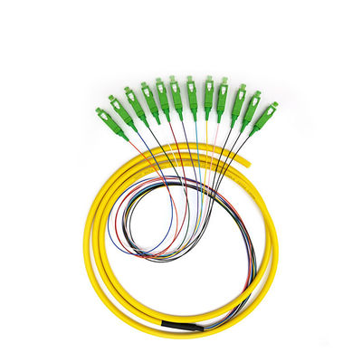 12 Monomode- Farbbündel-Sc APC 1M Fiber Optic Pigtail